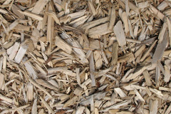 biomass boilers Wrangle Low Ground